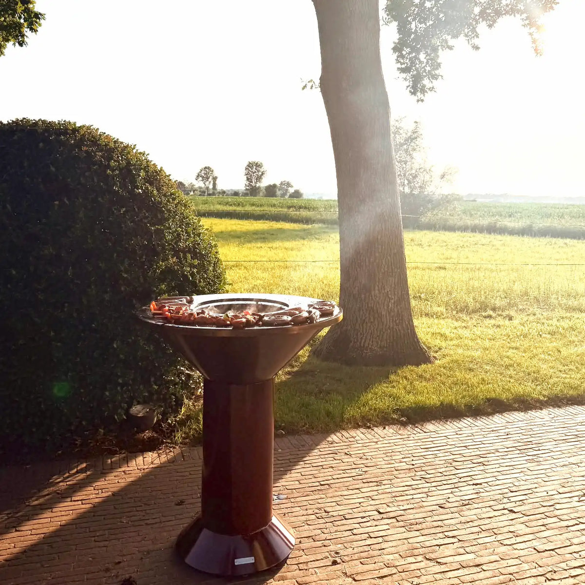 Bordeaux Garnet Vuuris with food bumper on it and meat grilling around the open flame with a background of a sunny grass field with some trees
