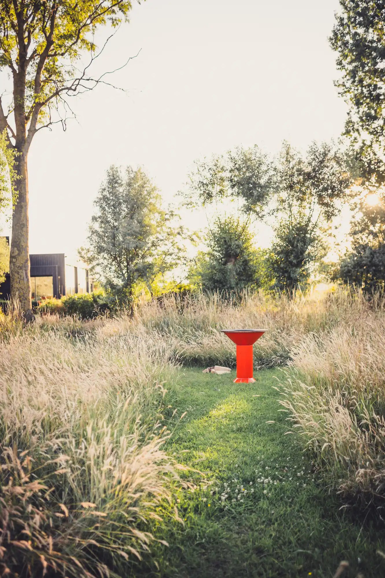 A bright orange modern Vuuris Tiger barbecue fire pit placed on a grassy path in a sunlit garden with tall dry grass and trees in the background.